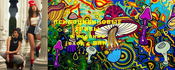 ECSTASY Гусиноозёрск