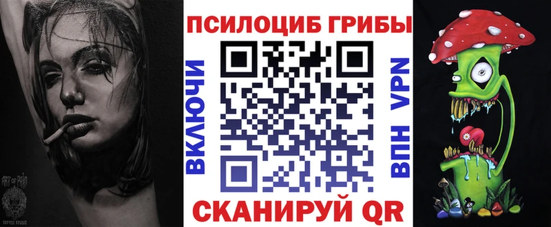 Псилоцибиновые грибы мицелий  даркнет сайт  Чебоксары 